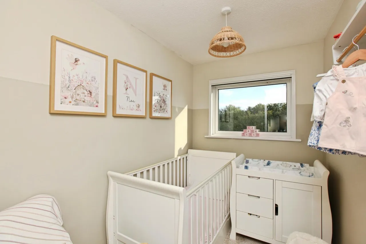 Longmead Road, Paignton, TQ3, photo 16