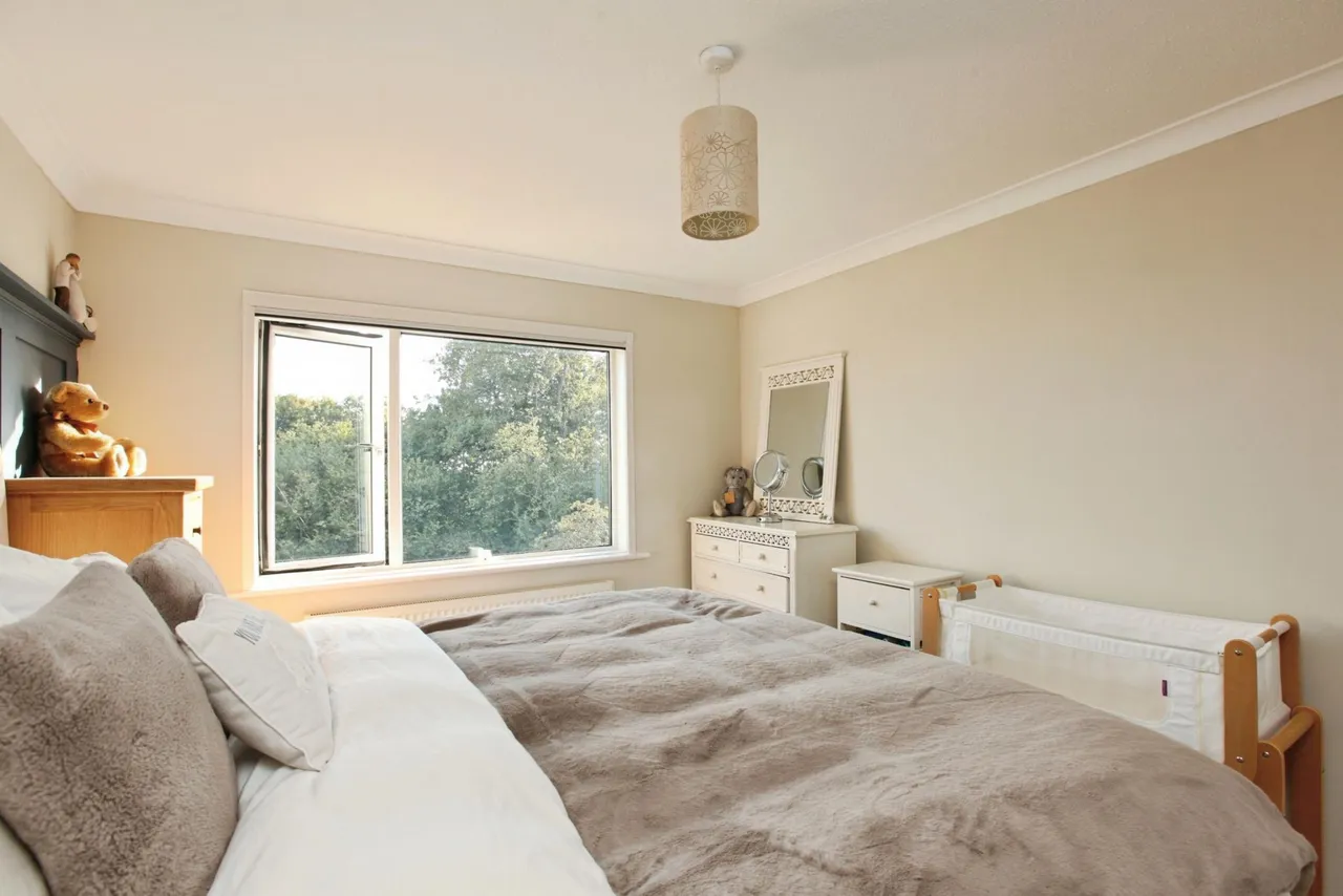Longmead Road, Paignton, TQ3, photo 12