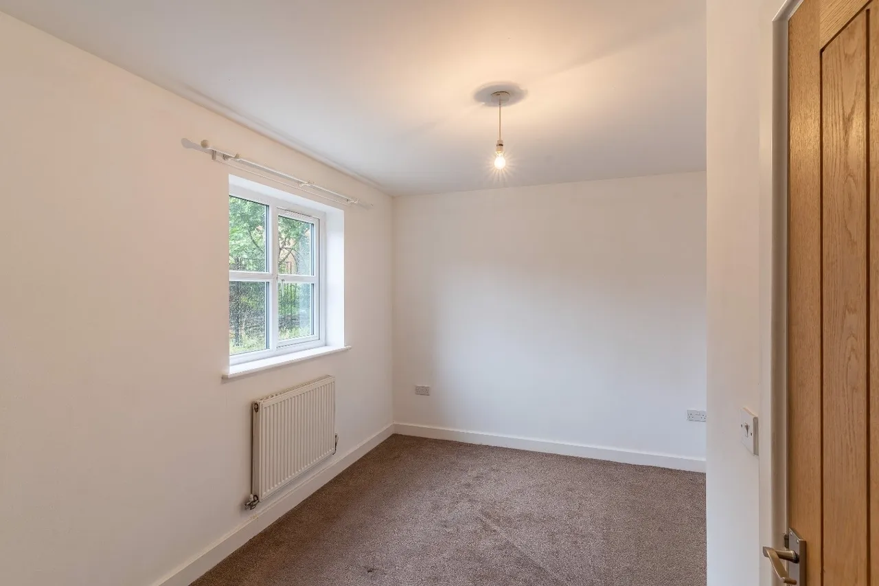 Forester Grove, Arleston, TF1, photo 3