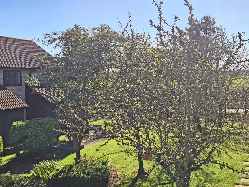 New Milton, Hampshire, photo 11