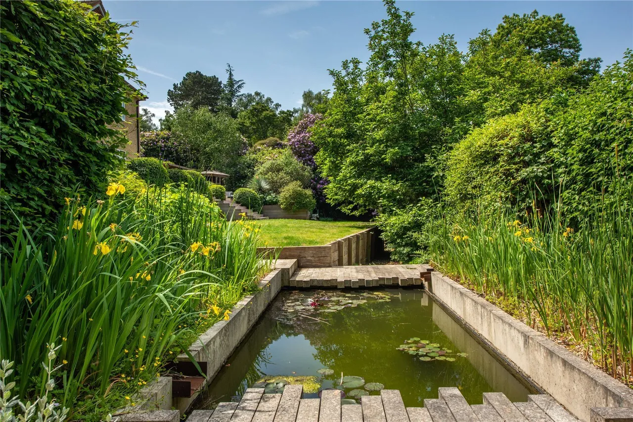Deepdene Wood, Dorking, RH5, photo 7