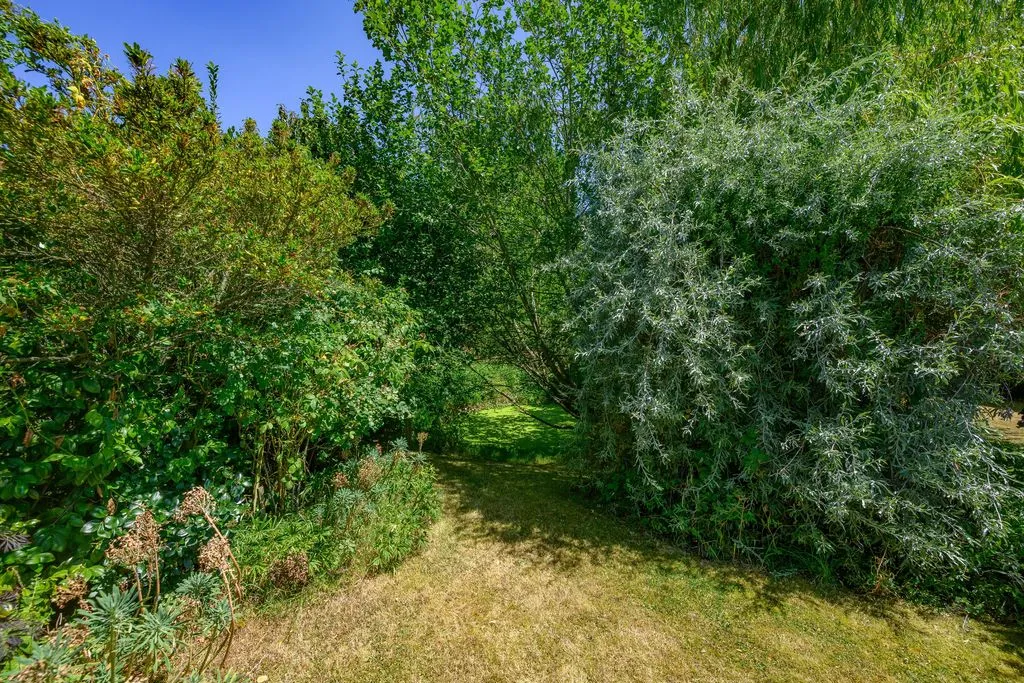 Wildhill Road, Essendon AL9 6DN, photo 15