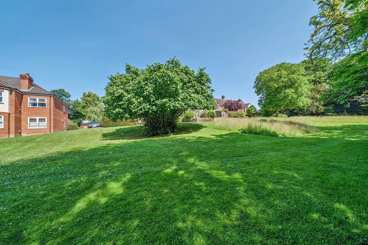 Hale Place, Farnham, GU9, photo 13