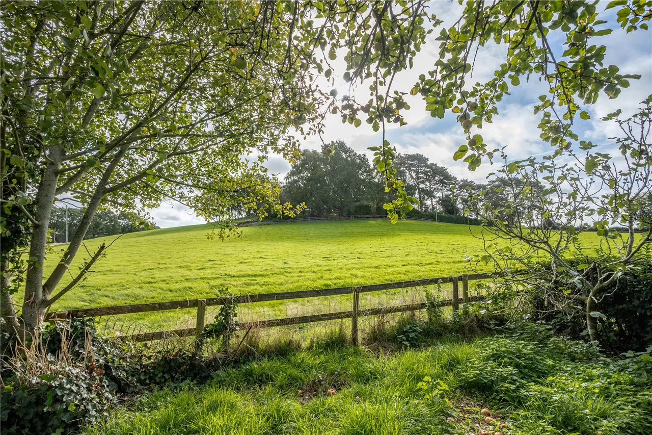 Birmingham Road, Lydiate Ash, B61, photo 3