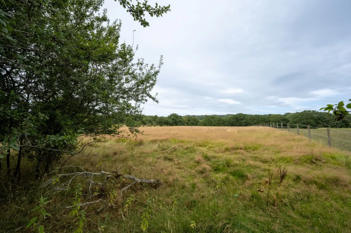 Lees Lane, Dalton, WN8, photo 45