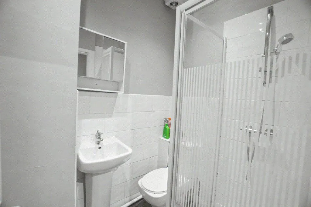 Roseneath Place, Leeds, LS12, photo 7