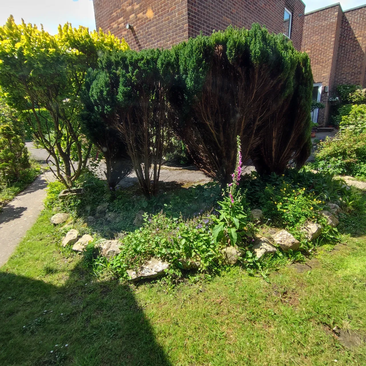 Dorchester, photo 9