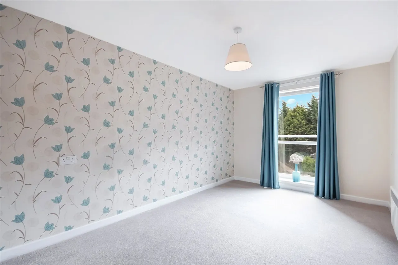 Lauder Court, Staneacre Park, ML3, photo 9