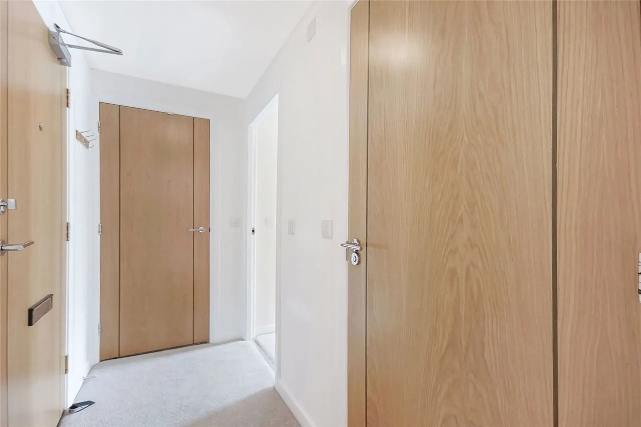Lauder Court, Staneacre Park, ML3, photo 14