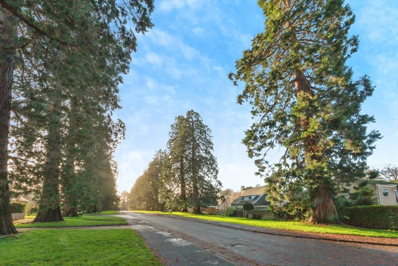 Yockley Close, Camberley, GU15, photo 4