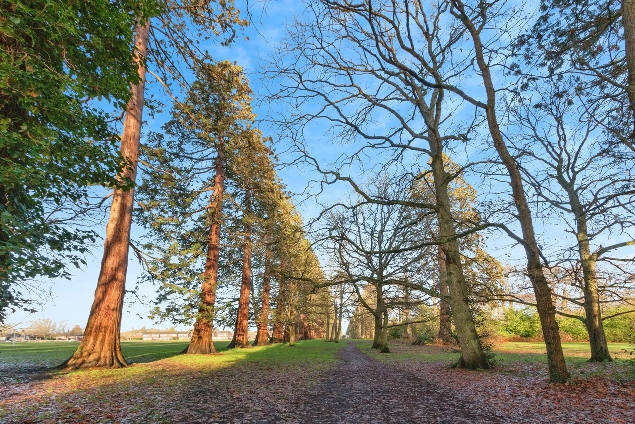 Yockley Close, Camberley, GU15, photo 6