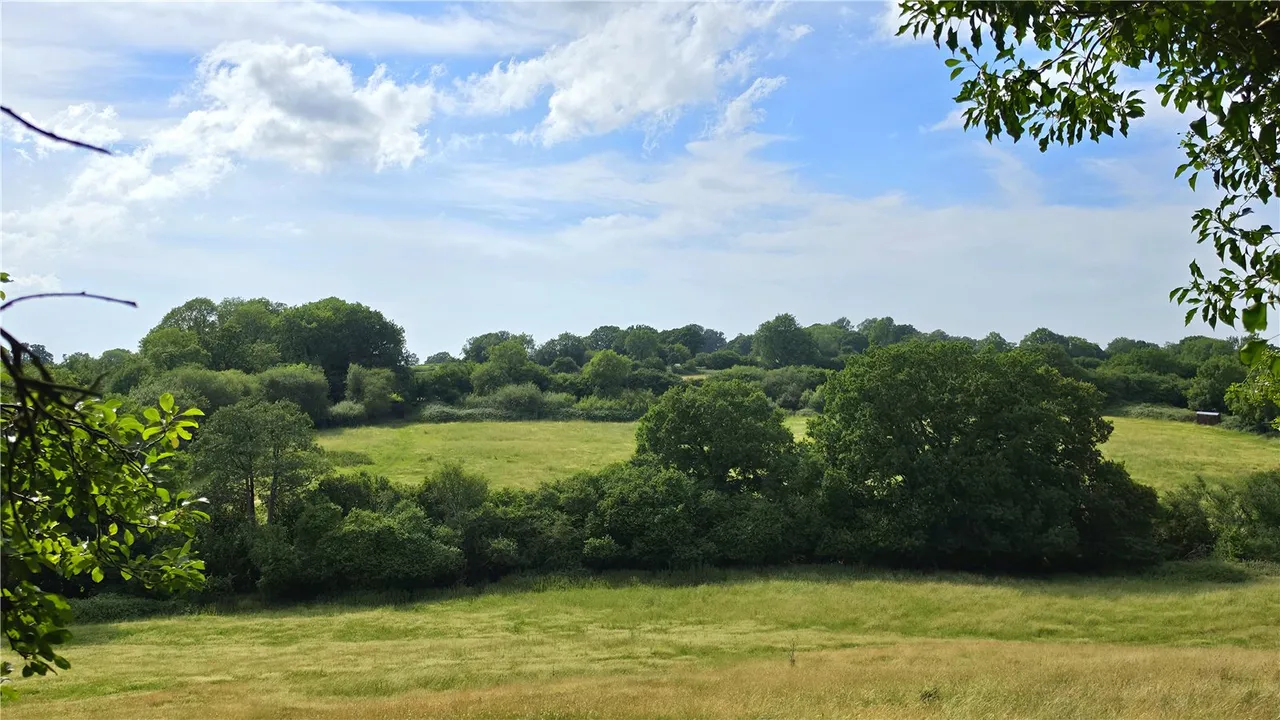 Quarr, Gillingham, Dorset, SP8 5PA, photo 10