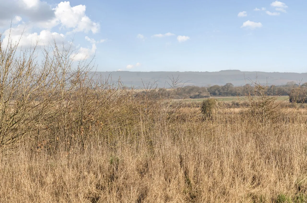 Crossfields, Bersted Park, PO21, photo 16