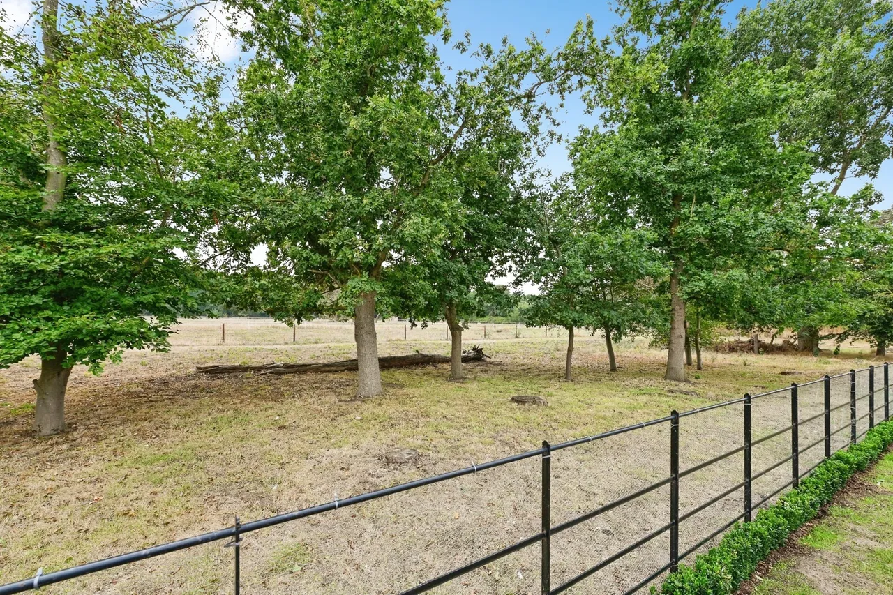 Davy Field, Lynn Road, Ingoldisthorpe, King's Lynn, PE31, photo 37