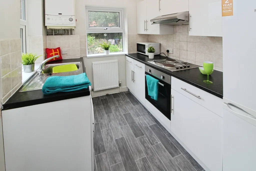 Springvale Road, Sheffield, S10, photo 4
