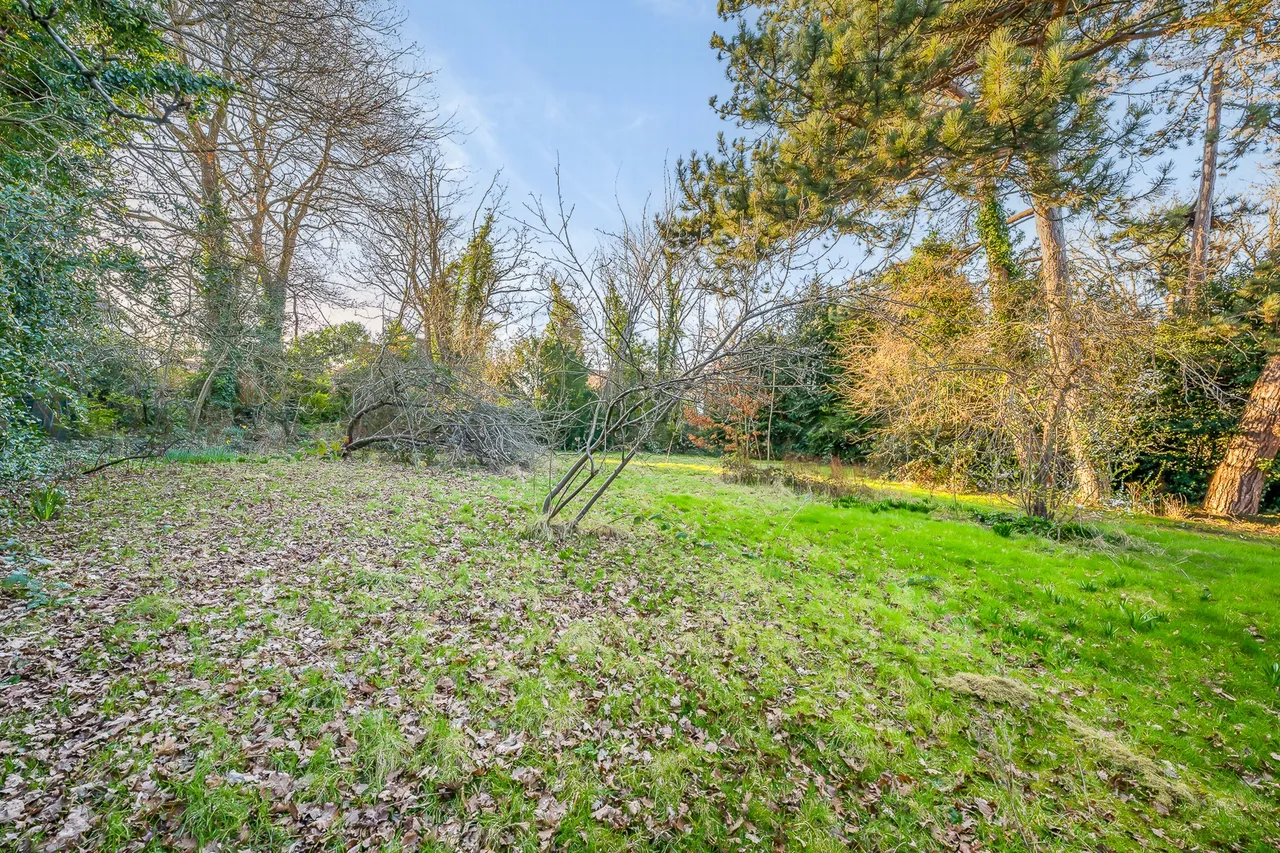 Scotts Lane, Bromley, BR2 0LH, photo 22