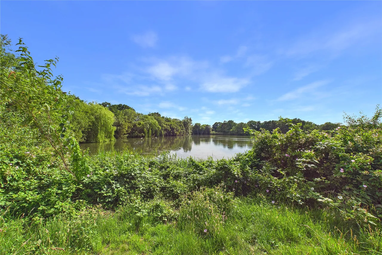 Lakeview Lane, Mytchett, GU16, photo 20