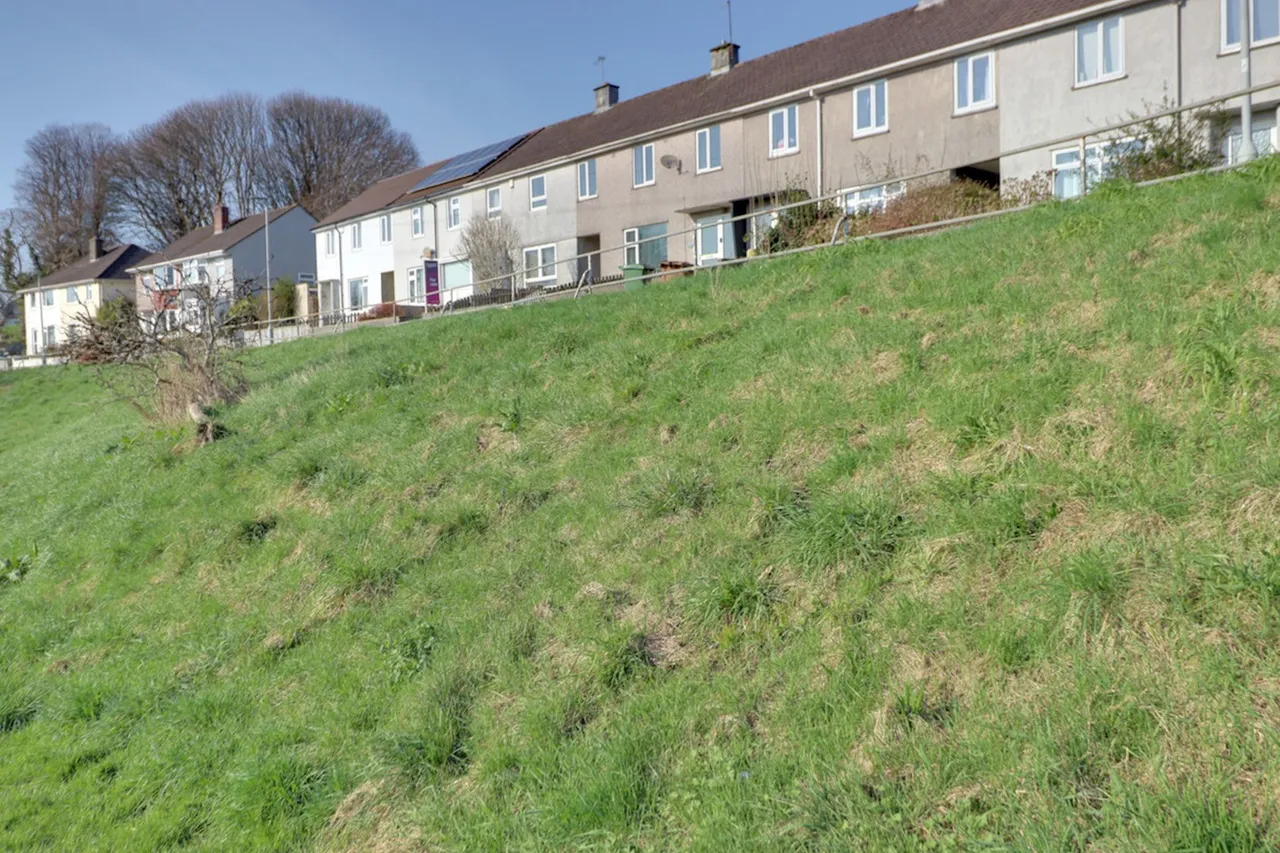 Budshead Road, Plymouth, PL5, photo 19