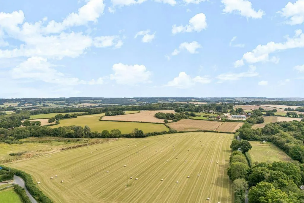 Morgay Wood Lane, Three Oaks, TN35, photo 13