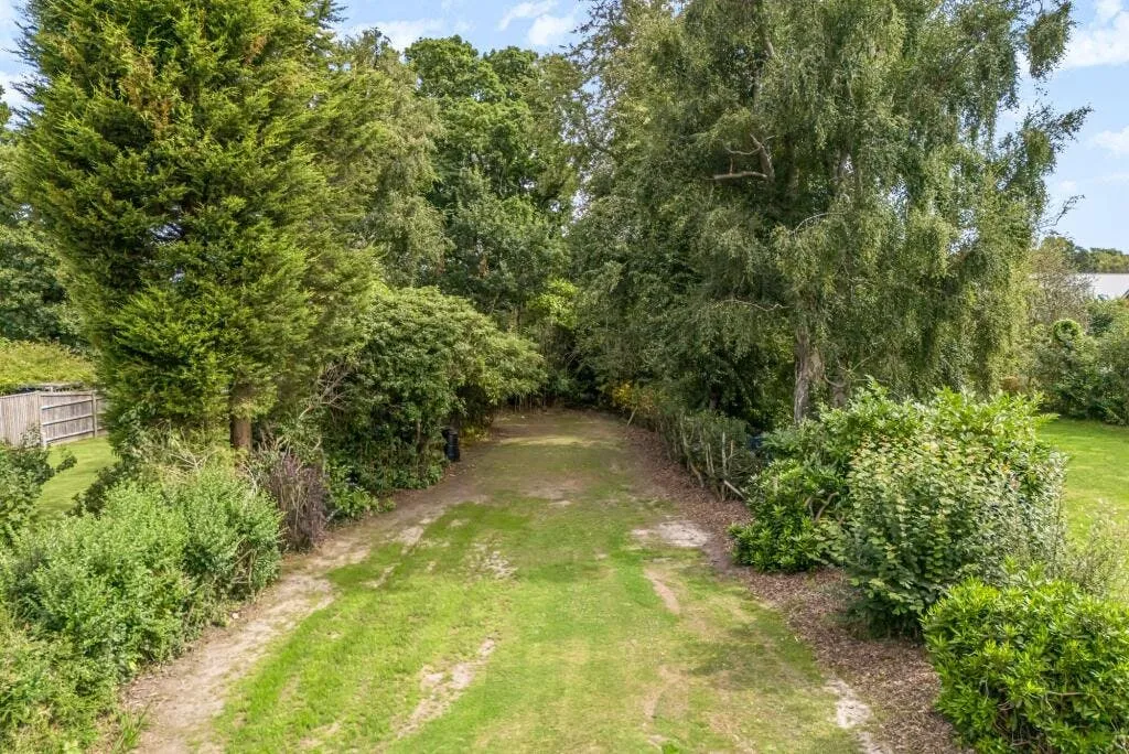 Morgay Wood Lane, Three Oaks, TN35, photo 5