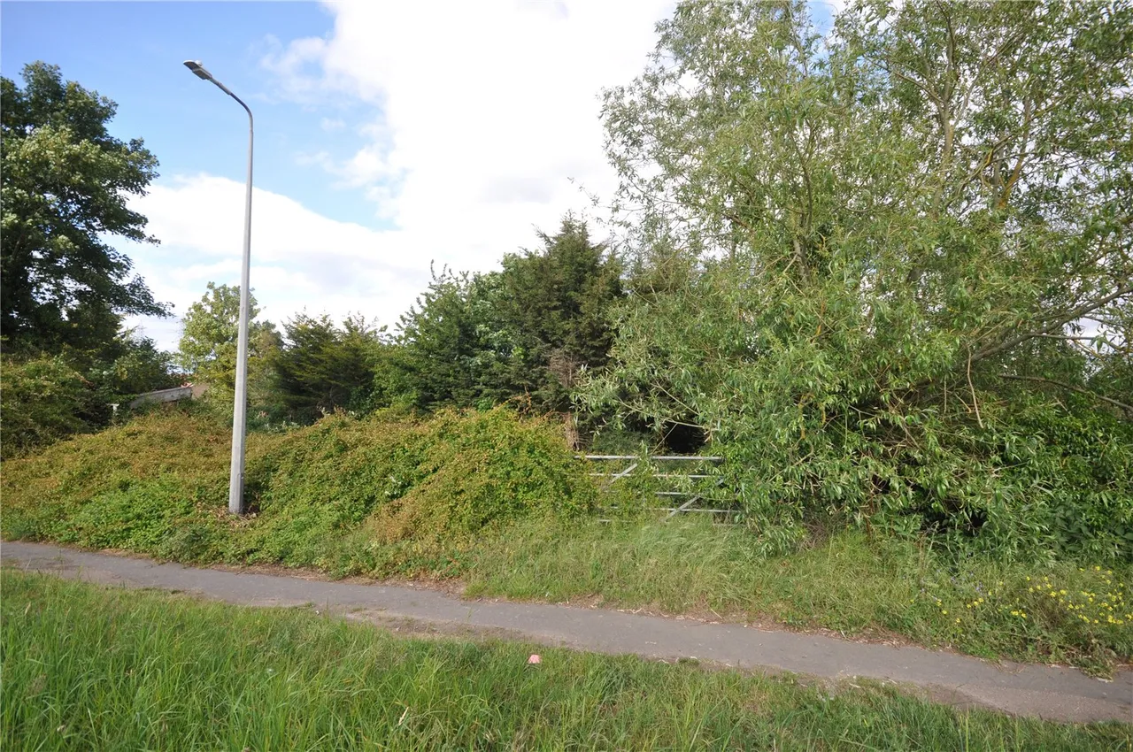 Loraine Way, Bramford, IP8, photo 10