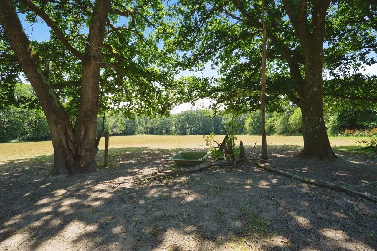 Hammerpond Road, Plummers Plain, RH13, photo 7