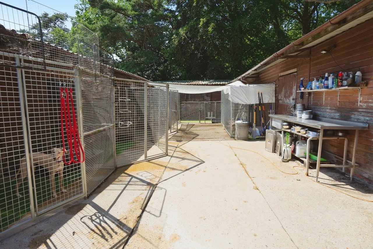 Hammerpond Road, Plummers Plain, RH13, photo 19