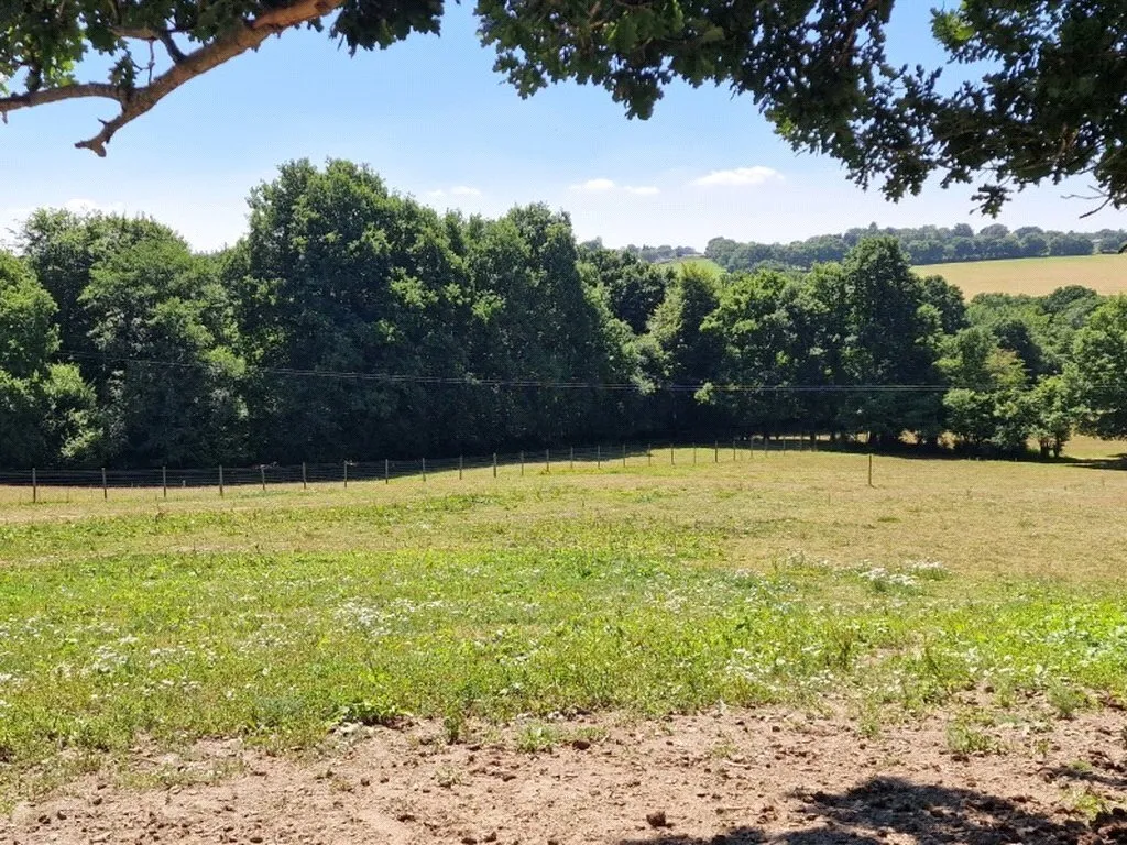 Hammerpond Road, Plummers Plain, RH13, photo 17
