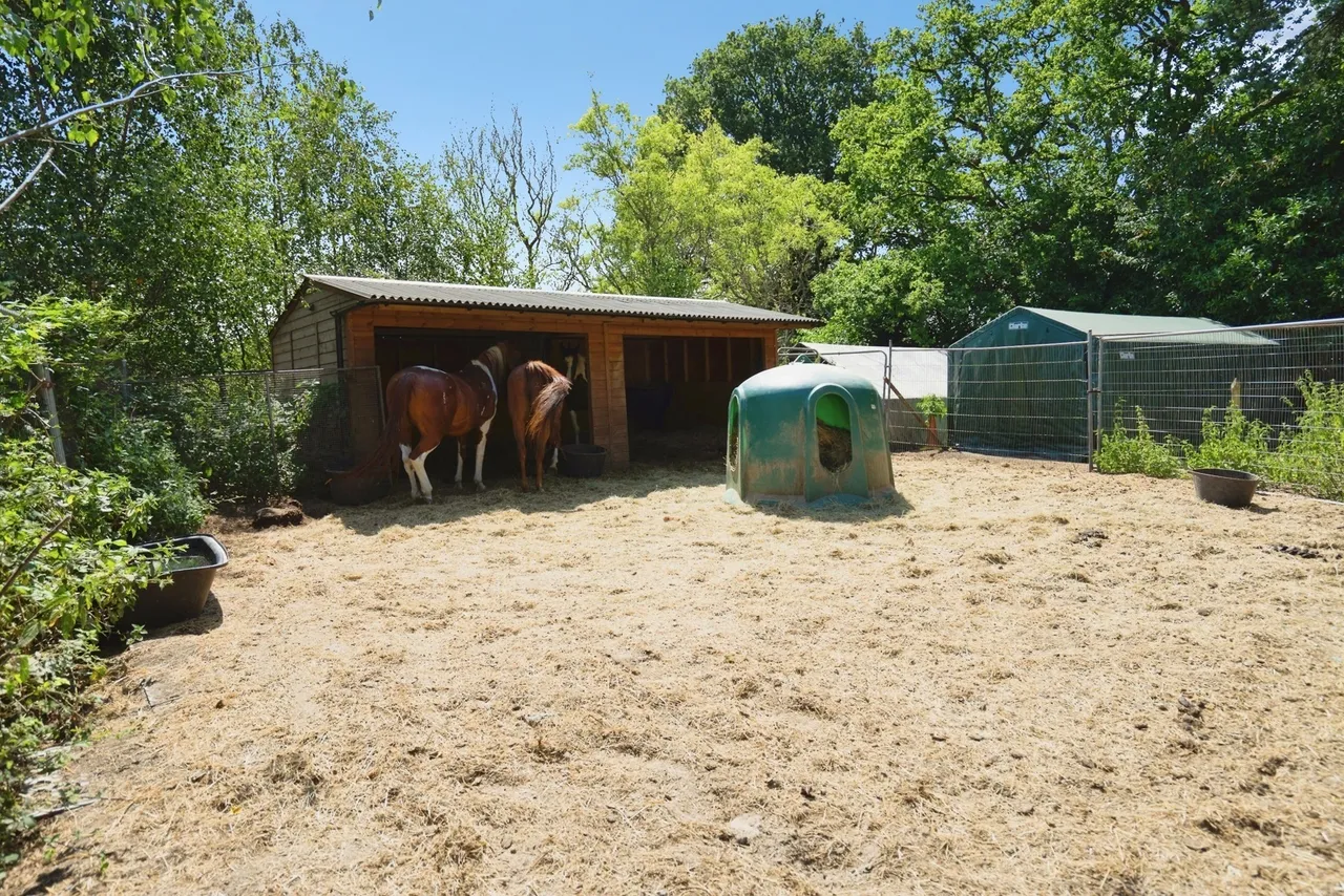 Hammerpond Road, Plummers Plain, RH13, photo 11