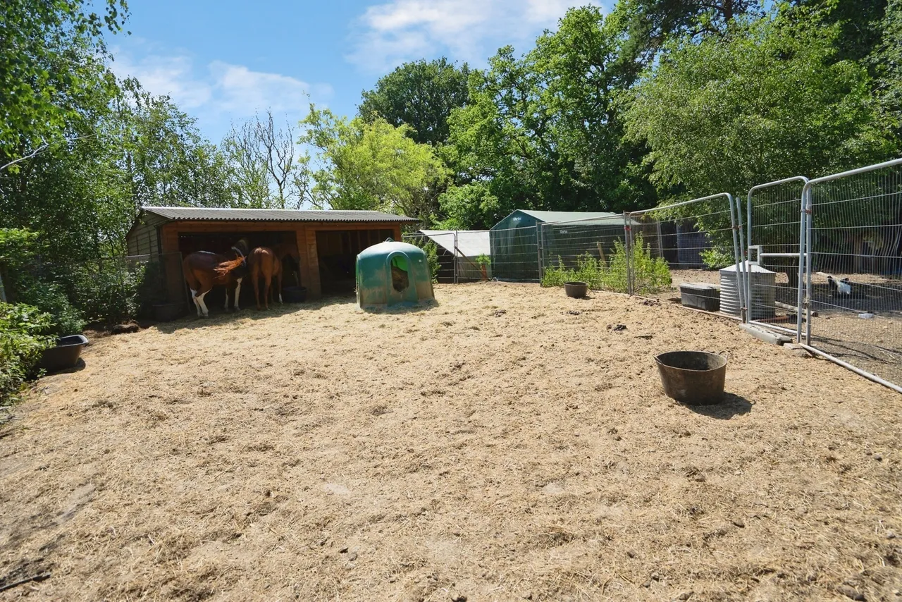 Hammerpond Road, Plummers Plain, RH13, photo 20