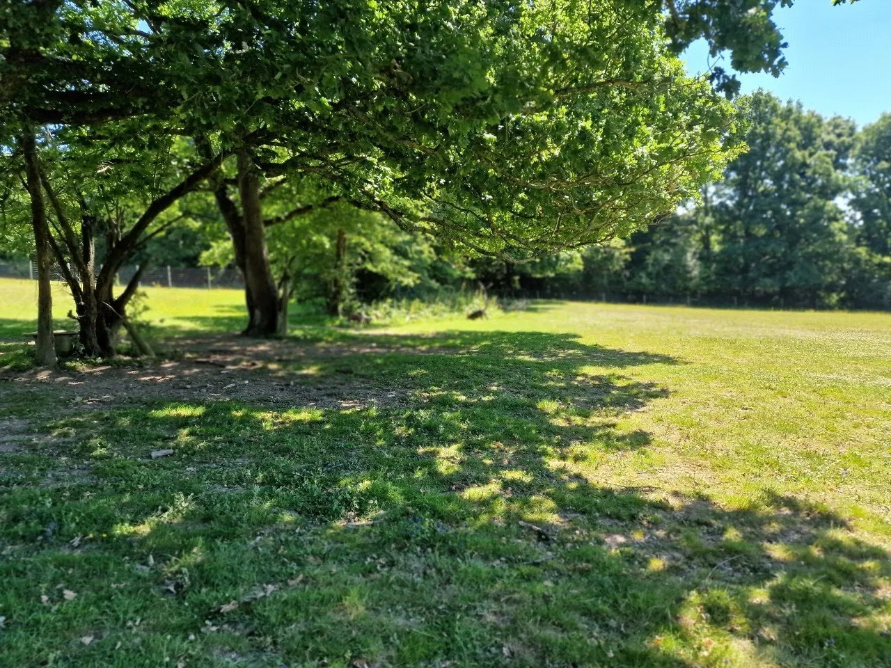 Hammerpond Road, Plummers Plain, RH13, photo 21