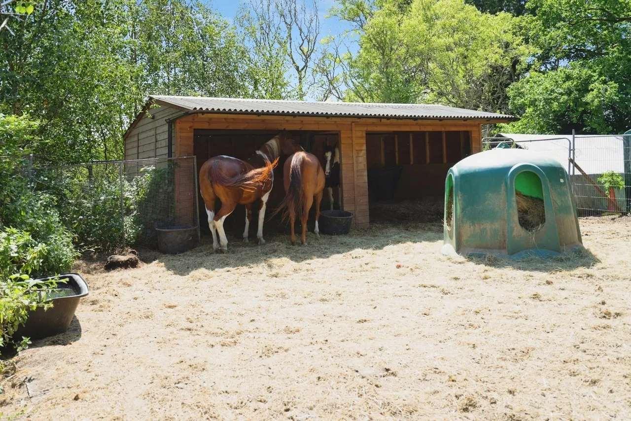 Hammerpond Road, Plummers Plain, RH13, photo 26