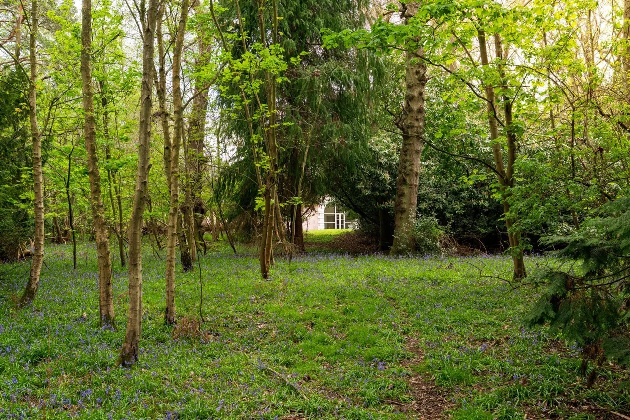 Ford Lane, Alresford, CO7, photo 29