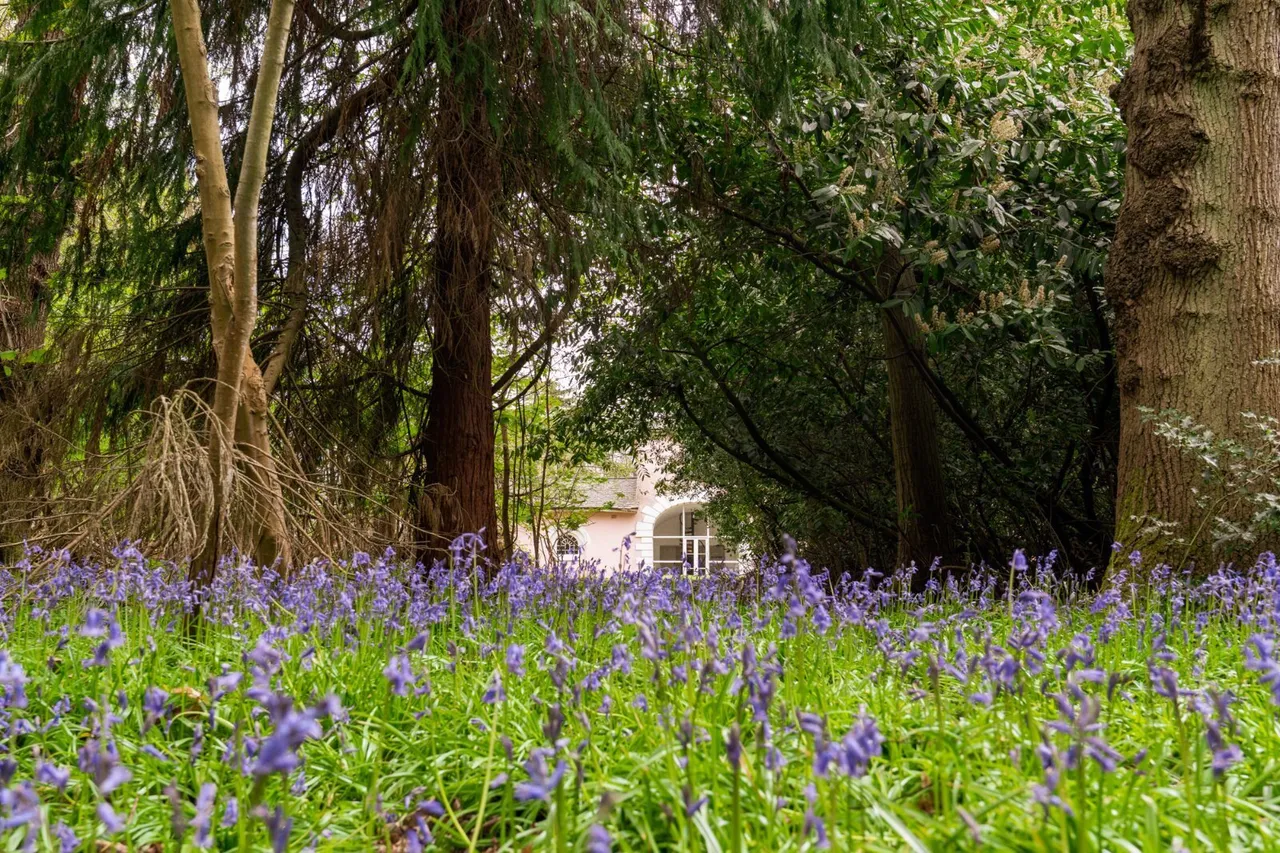 Ford Lane, Alresford, CO7, photo 32