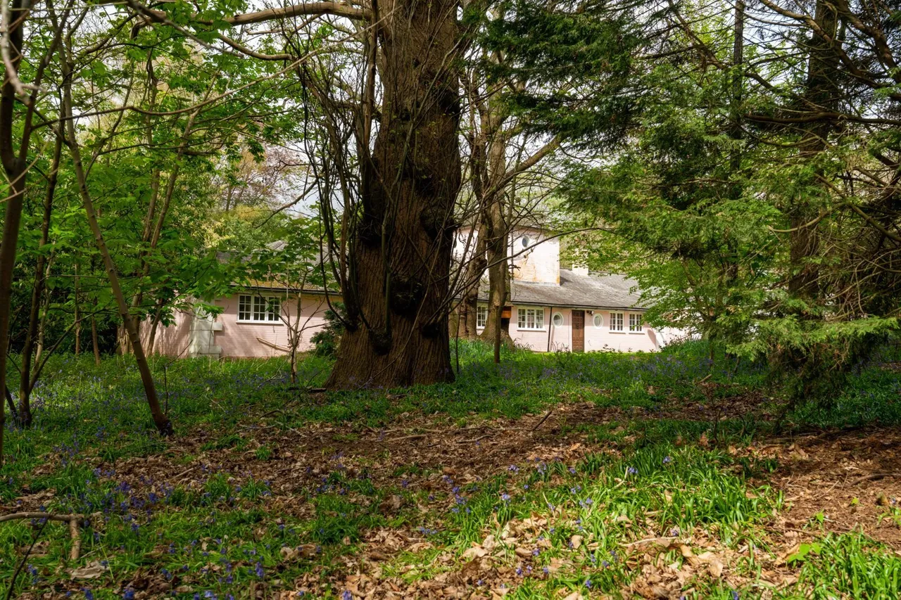Ford Lane, Alresford, CO7, photo 27