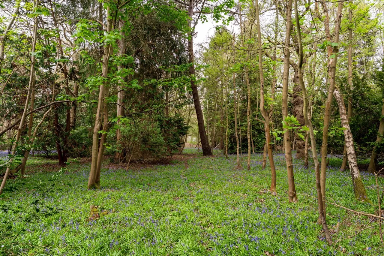 Ford Lane, Alresford, CO7, photo 4