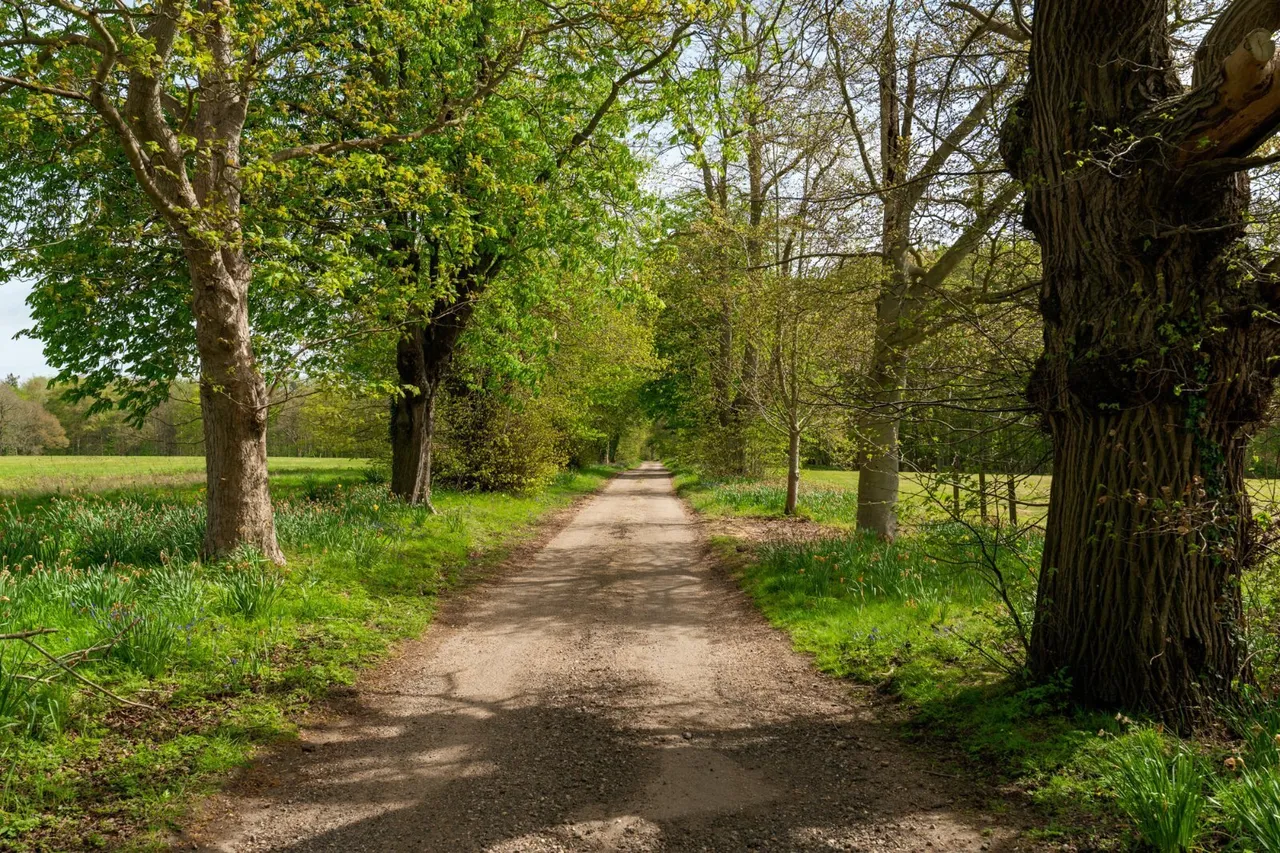 Ford Lane, Alresford, CO7, photo 24