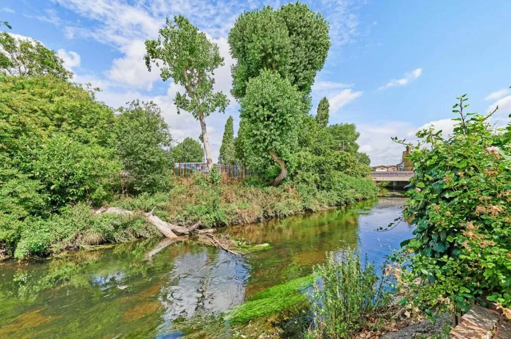 River Property, Twilley Street, Earlsfield SW18, photo 8