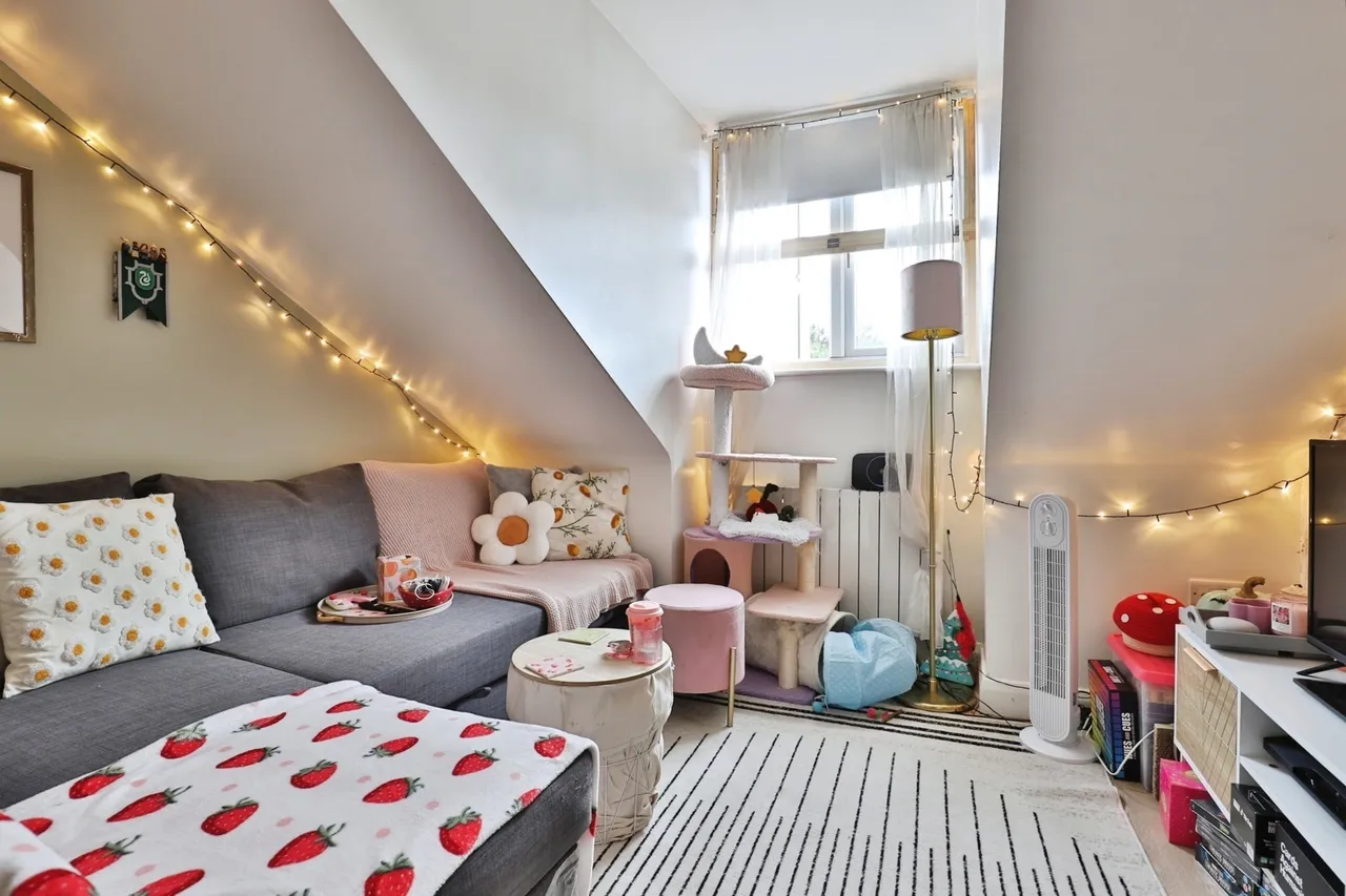 Ashley Road, Bournemouth, BH1, photo 13