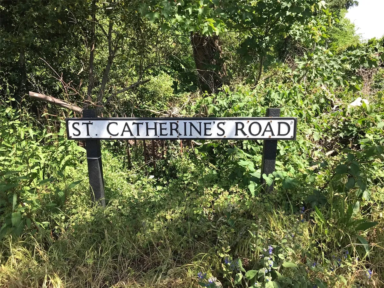 St. Catherines Road, Frimley Green, Camberley, Surrey, GU16 6PY, photo 8