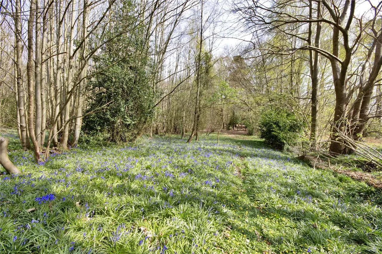 Ismays Road, Ivy Hatch, Sevenoaks, Kent, TN15 0PA, photo 11