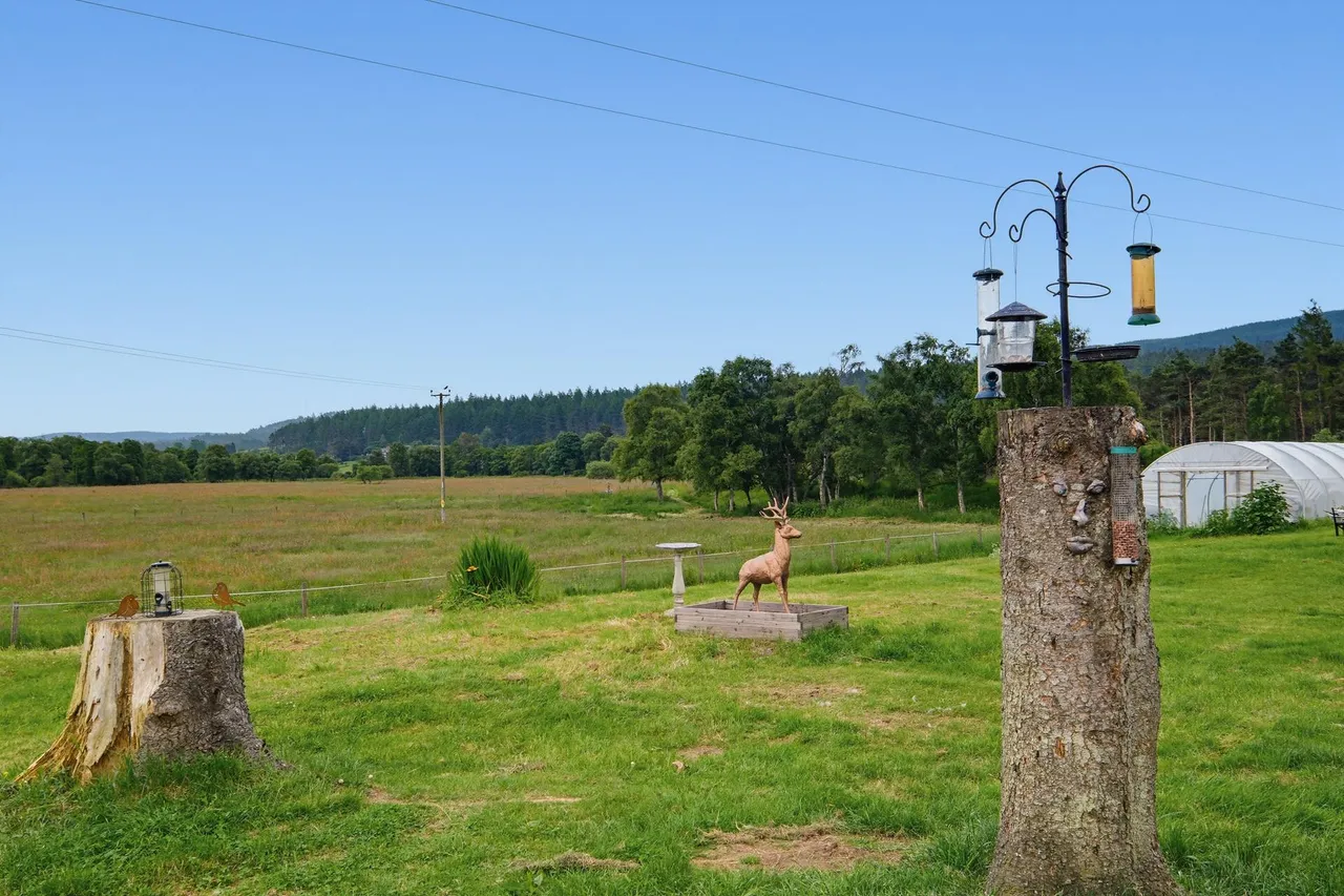 Mill House, Strachan, AB31, photo 42