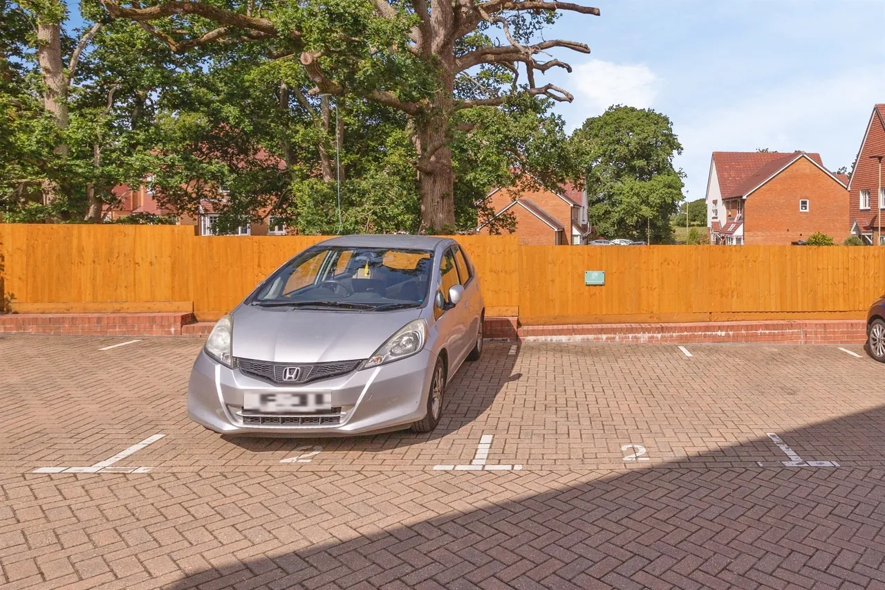 Clements Grove, Waterlooville, PO8, photo 18