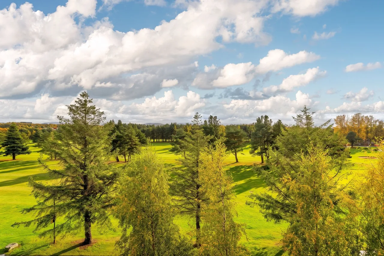 Eagles View, Livingston, photo 4