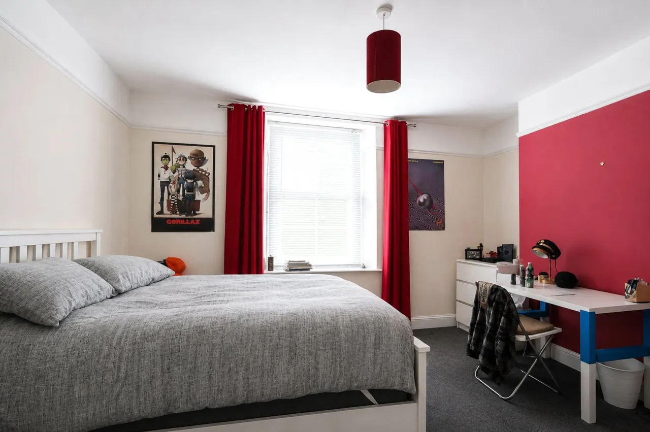 Alma Vale Road, Bristol, BS8, photo 7