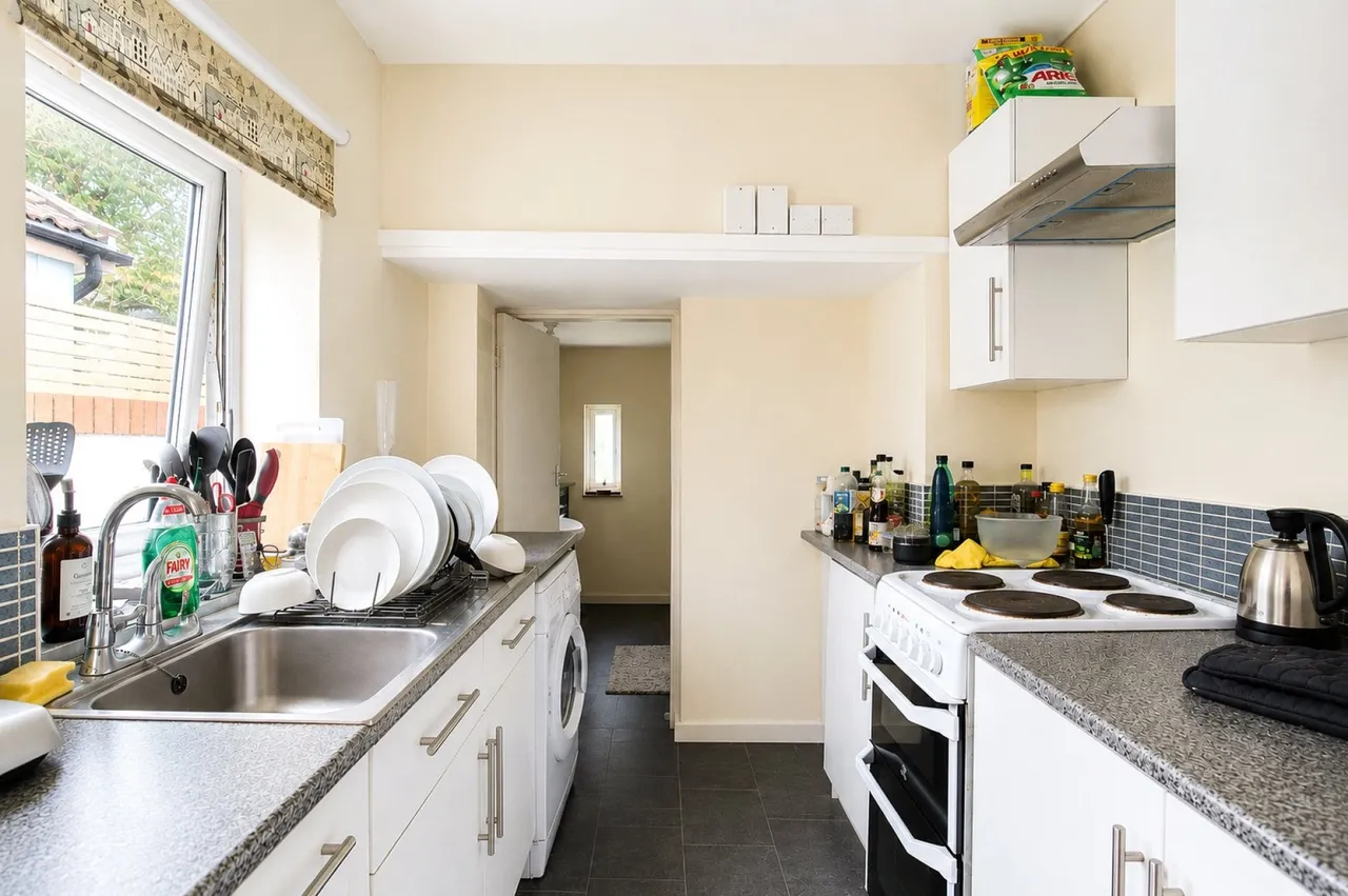 Alma Vale Road, Bristol, BS8, photo 4