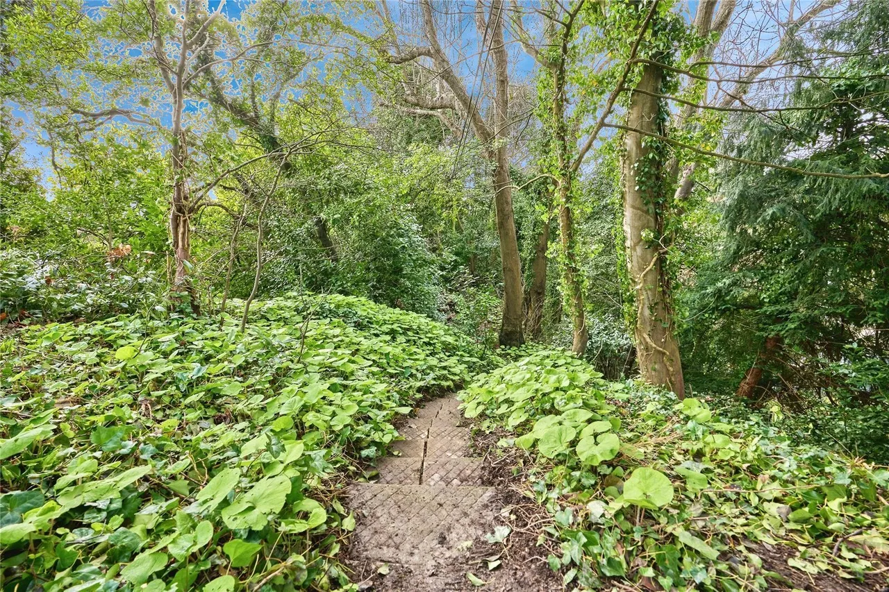 Madeira Road, Ventnor, PO38, photo 23