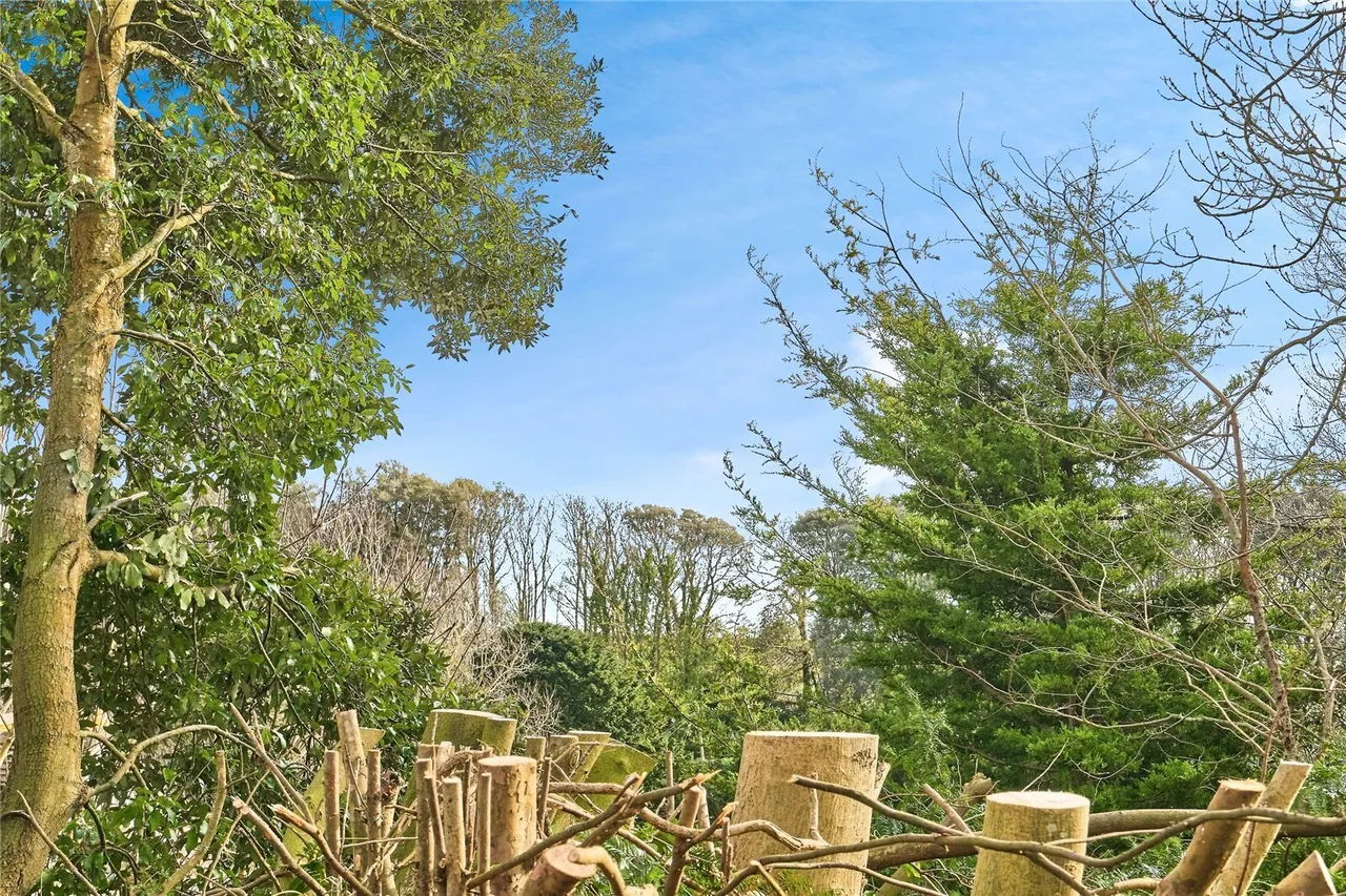 Madeira Road, Ventnor, PO38, photo 33