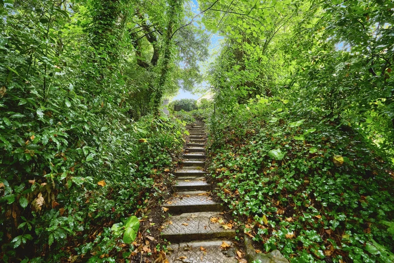 Madeira Road, Ventnor, PO38, photo 12