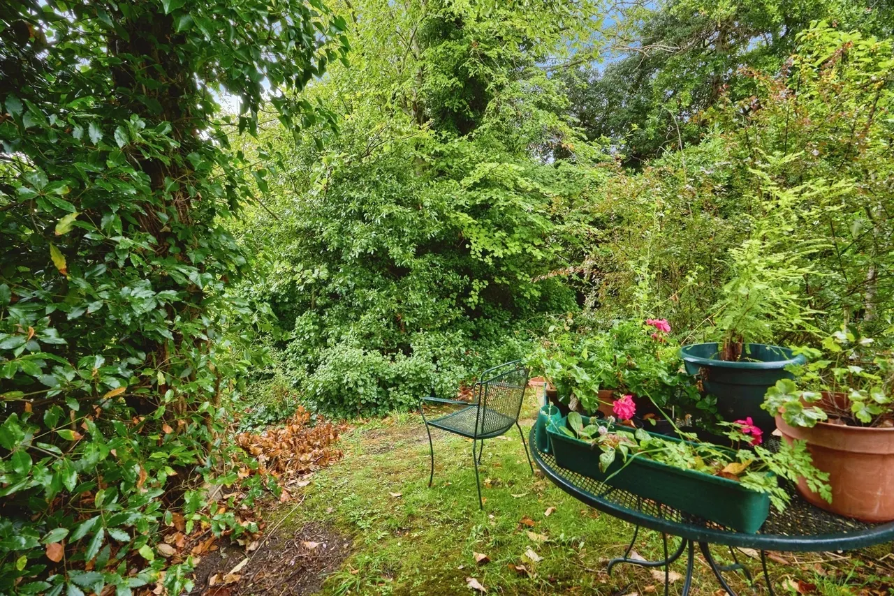 Madeira Road, Ventnor, PO38, photo 15